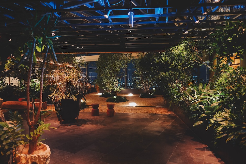 NEWoMAN高輪　LUFTBAUM（高輪Gateway）28 29樓免費展望台 夜景2